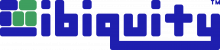 Libiquity_logo_image